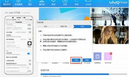 vivo手机助手升级系统_vivo手机助手升级系统安全吗